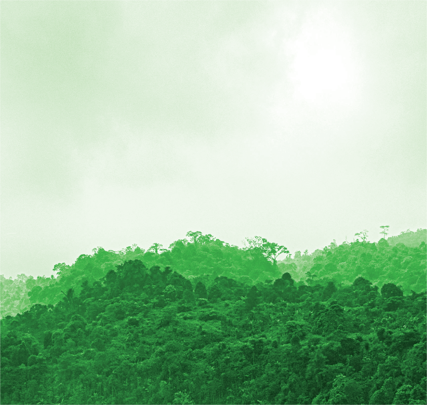 Amazônia e as questões socioambientais globais